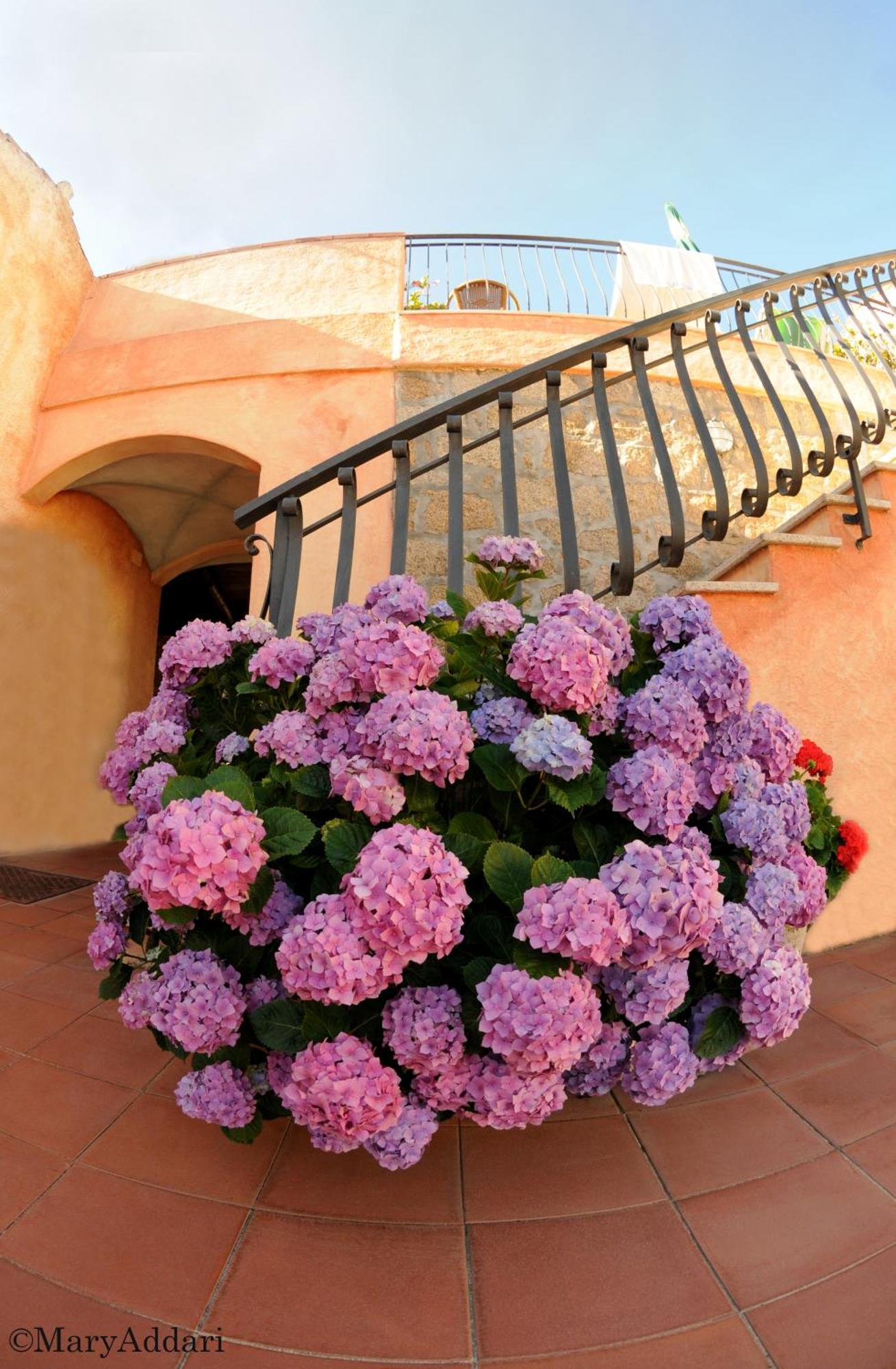 Hotel Villa Gemella Байя-Сардинія Екстер'єр фото
